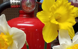 Time to check your fire extinguishers!